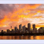 Sydney sunset