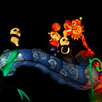 Magical Lantern Festival