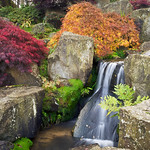 Water in English Gardens (4 of 33) | RHS Gardens Wisley, Surrey, England