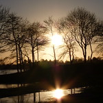 finally sun / endlich wieder ein wenig Sonne