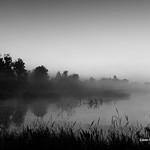 Foggy Morning at Circle B Bar-II