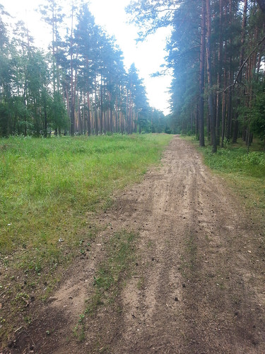 Keliukas prie Kairėnų kapinių