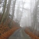 an der Nebelgrenze entlang