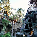 the treehouse formerly known as Swiss Family Robinson