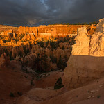 The Light in Bryce