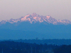cascades from porch