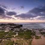 Green pavers || Wombarra