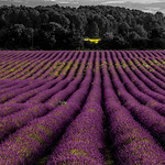 Missing Provence - 9