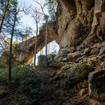 Fifty Shades of Gray's Arch