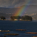 Illa de San Sim&oacute;n (R&iacute;a de Vigo)