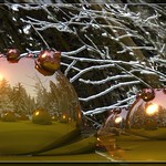 reflecting on the coming winter