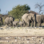 A Beautiful sight !!!!!!!!!!