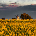 The day dies ..... leaving the sovereignty to the night ...., El dia se muere.....dejando la soberan&iacute;a a la noche....