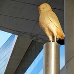 the owl @ the acropolis museum