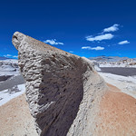 contra viento y marea