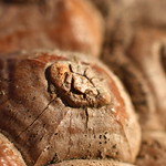 Macro Mondays - "What is that?"