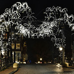 Spider on the bridge, street side