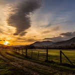Cades Cove Pasture -- HFF