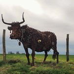 Improbable rencontre..