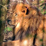 March comes in like a lion