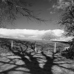 Cast a long shadow ....