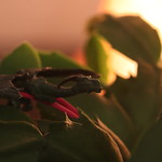 Once upon a time... MM