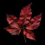 First signs of Autumn