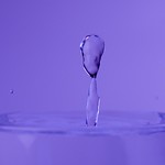 Velocidad de obturacion: rapida / acci&oacute;n