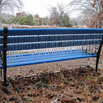 Blue Bench Monday