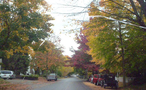 Foster Street in the Fall