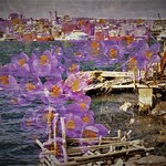 Spring Comes to the Harbor