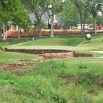 Oak Tree #13 Tee