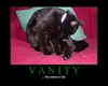 Vanity