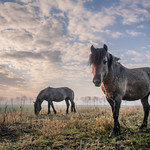 First acquaintance II