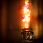 Bokeh Fun !