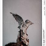 El &Aacute;ngel Exterminador