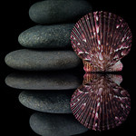 Scallop and Cairn on Acrylic