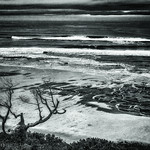 Overlooking the Pacific