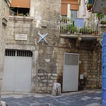 Bari