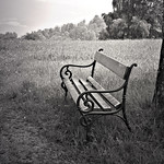 Lonely bench - a place to dream ~
