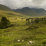 house_20060629_D_09773