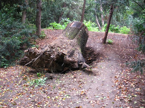 Park Szczytnicki (VI)