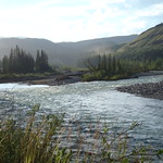 Down on the River's Edge #yyc #nature #wilderness