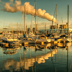 Early morning in the harbor