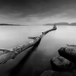 Here the Lake Begins - Canal de la Broye (Switzerland)