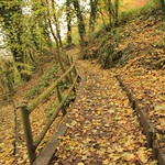 Happy Fence Friday! HFF.