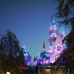 Winter Castle In The Woods - EXPLORE