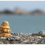 A la plage...to the beach...