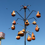 Purple Martin condominiums