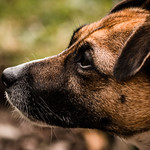 Searching for meaning..